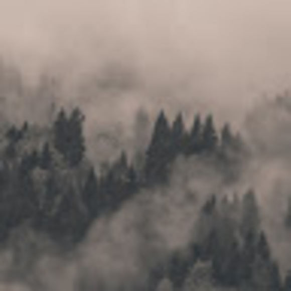 Meet your Posher, Sarah - Picture 1 of 1